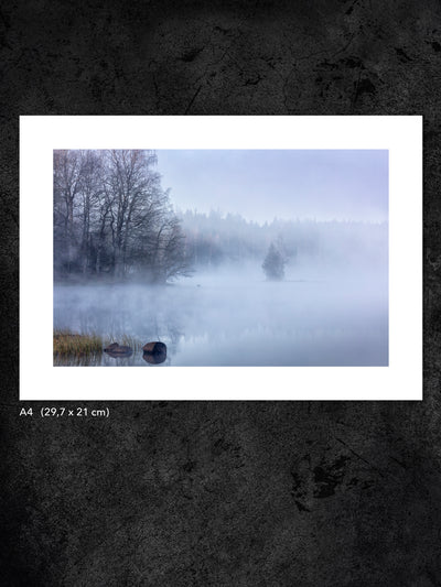 Fotokonst från PWMFoto visar foto av träd vid en dimmig sjö med titeln ”Morning II” / Photo Art by PWMFoto of trees by a misty lake with the title ”Morning II”
