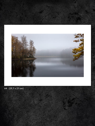 Fotokonst från PWMFoto visar foto av träd vid en dimmig sjö med titeln ”Morning Mist” / Photo Art by PWMFoto of trees by a misty lake with the title ”Morning Mist”