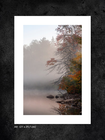 Fotokonst från PWMFoto visar foto av träd vid en dimmig sjö med titeln ”Autumn awakening” / Photo Art by PWMFoto of trees by a misty lake with the title ”Autumn awakening”